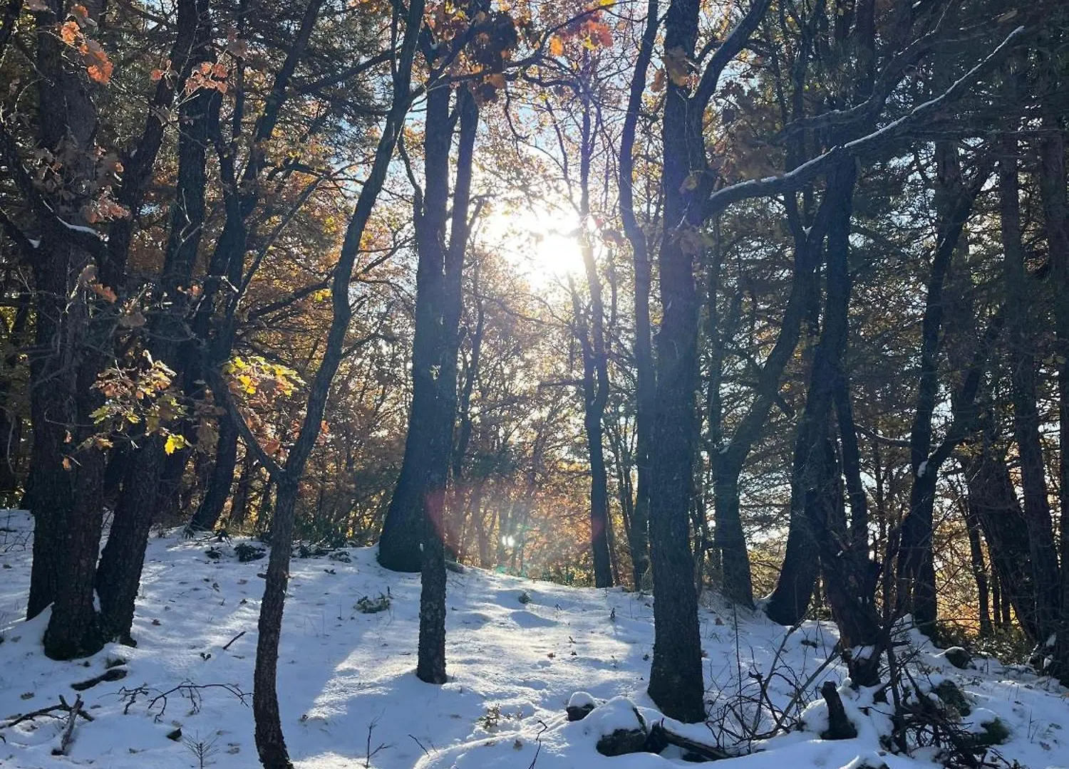 Woods Etna Chalet Ragalna