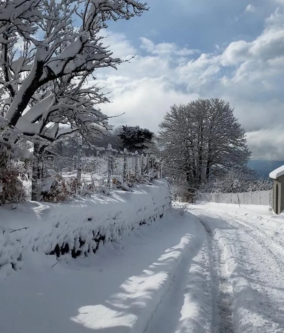 Woods Etna Chalet Ragalna