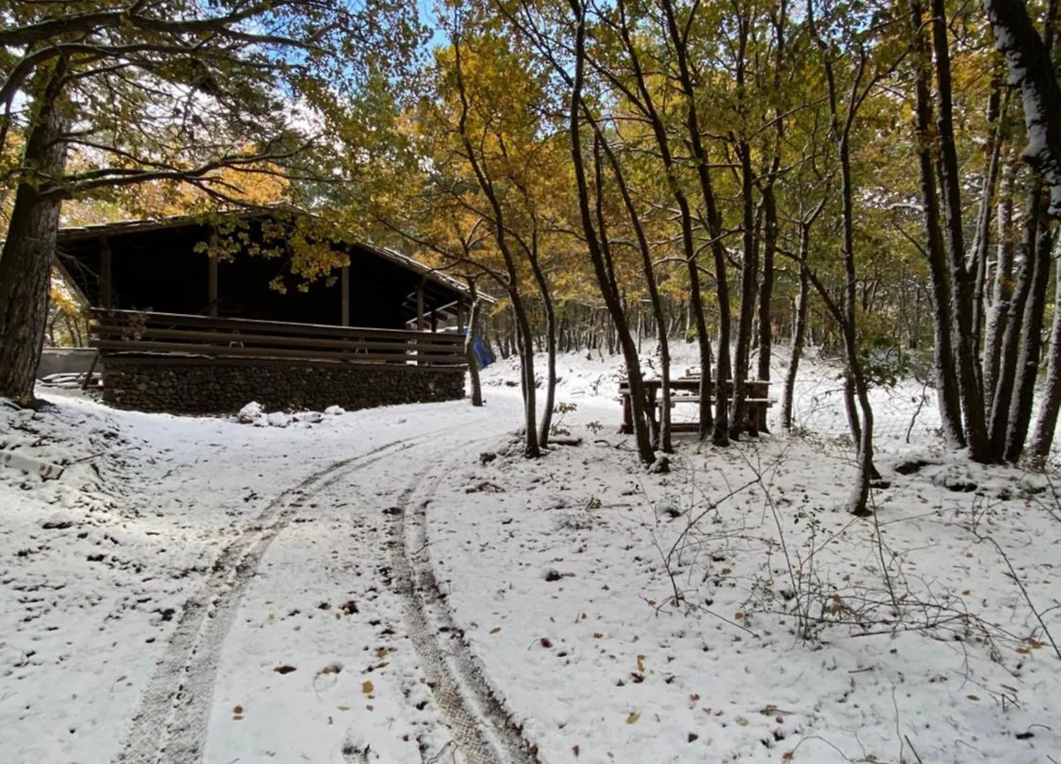 Woods Etna Chalet Ragalna Olaszország