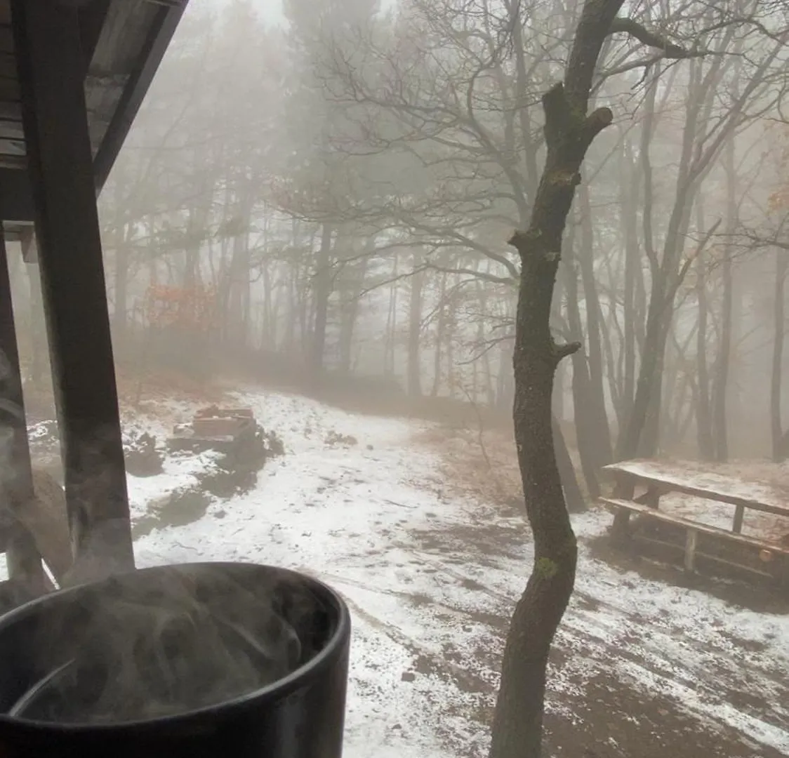 Woods Etna Chalet Ragalna