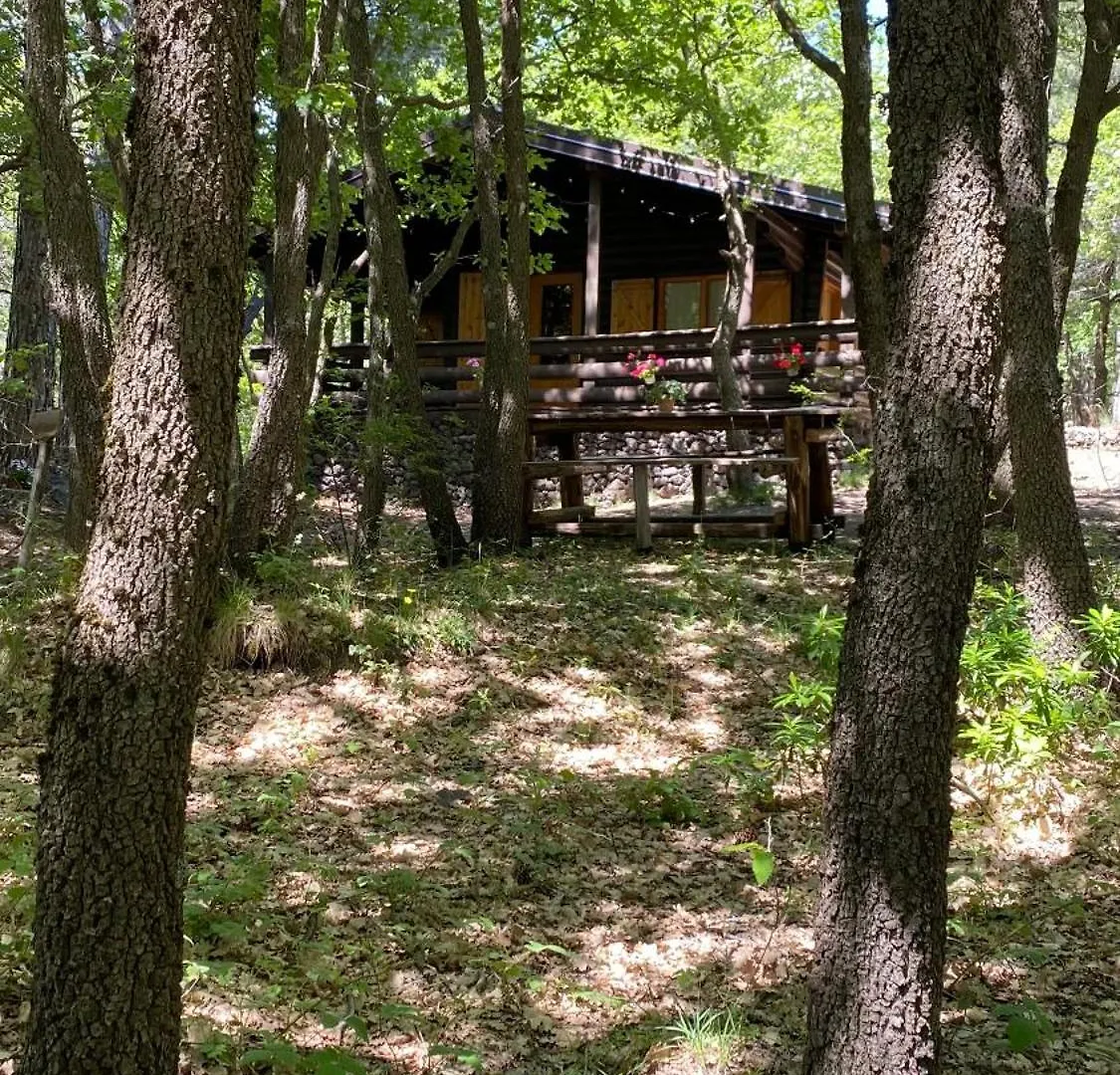 Woods Etna Chalet Ragalna
