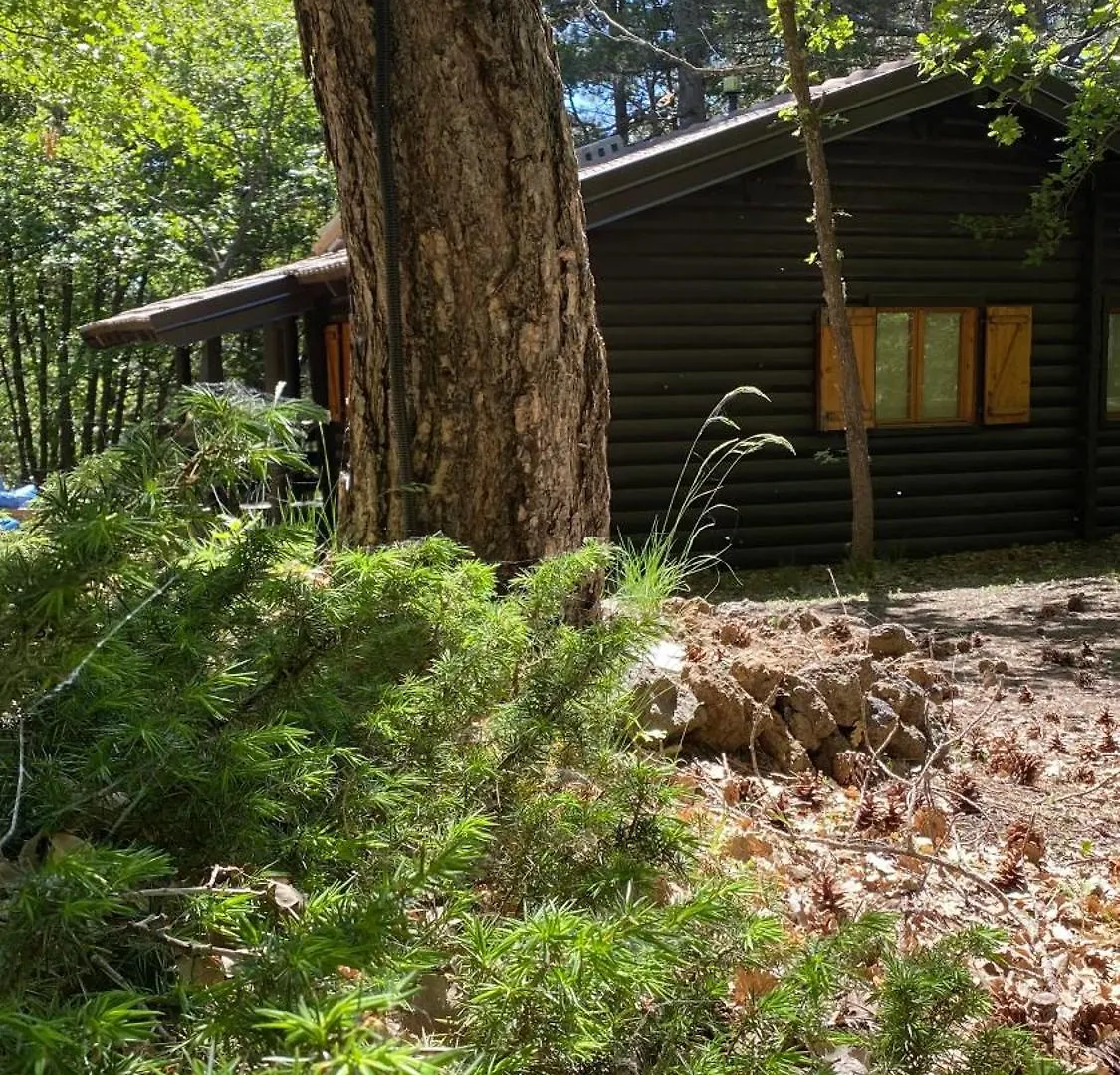 Woods Etna Chalet Ragalna